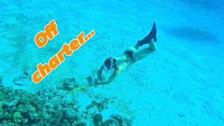 Exploring the Bahamas Off Charter!