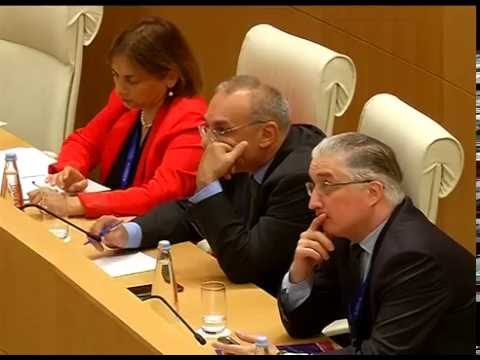 საქართველოს საგარეო საქმეთა მინისტრი მიხეილ ჯანელიძე \"ამბასადორიალი 2016\"-ის მიმდინარეობას აფასებს