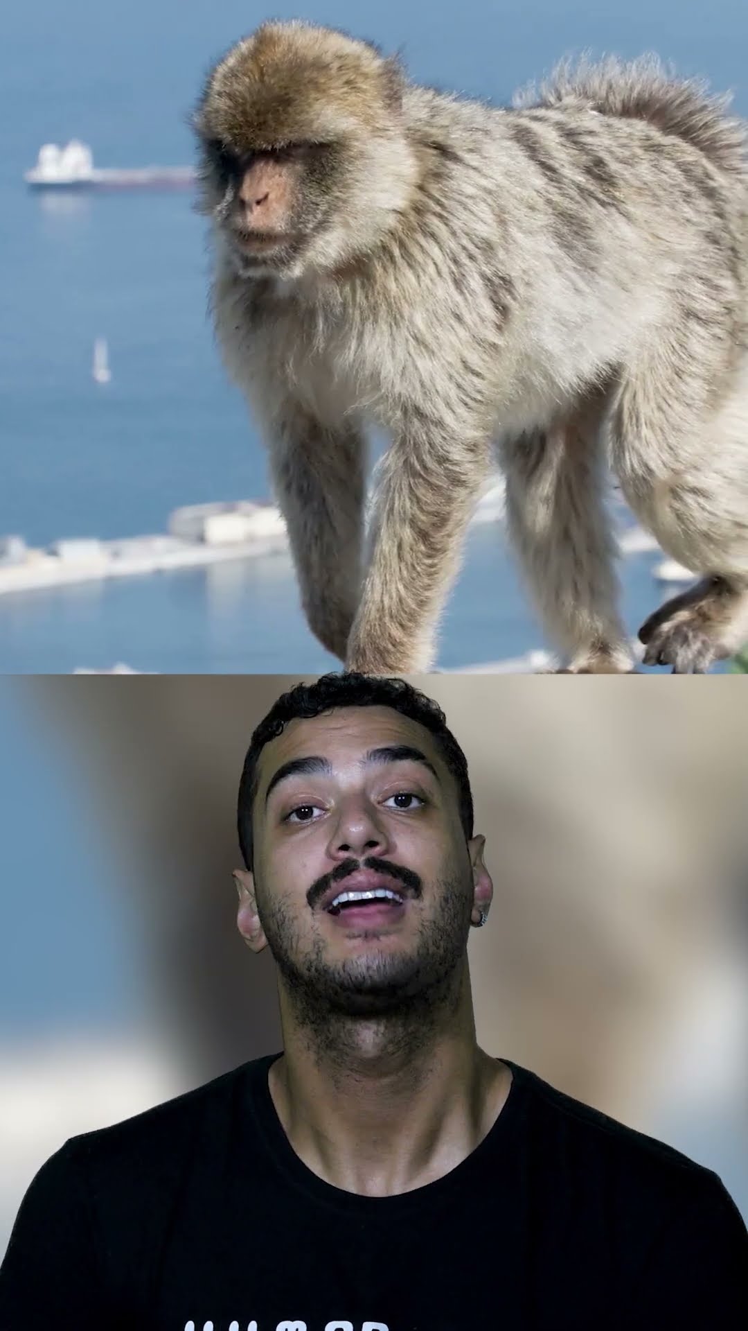este homem morreu ao tentar separar a briga de um cão e um macaco