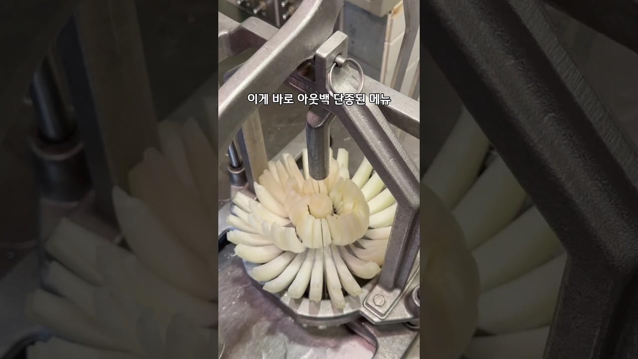 블루밍 어니언 먹을 수 있는 곳이 있다?#오일리버거 잠실석촌호수직영점📍서울 송파구 백제고분로41길 5 1~2층#잠실맛집#석촌호수맛집#석촌역맛집#석촌호수데이트