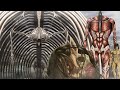 Eren's titans - Size comparison (Attack On Titan)