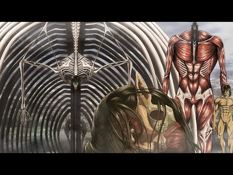Eren's titans - Size comparison (Attack On Titan)