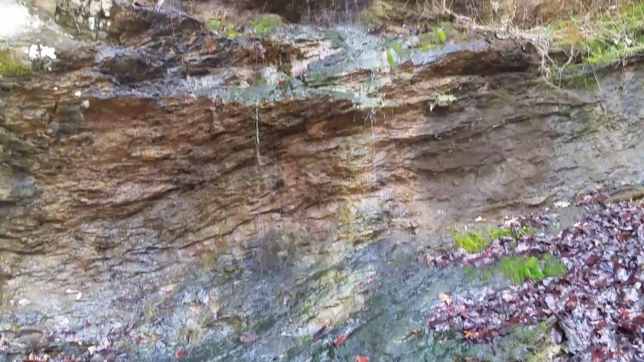 200 Acres For Sale in Talladega National Forest YouTube