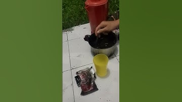 Belajar jadi Dukun Dayak