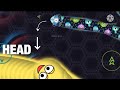 Wormate.io Highlight #16
