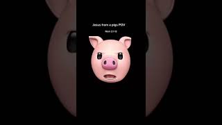 Jesus from a Pigs POV! Part 2