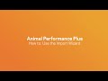 How To: Animal Performance Plus - Using the Import Wizard