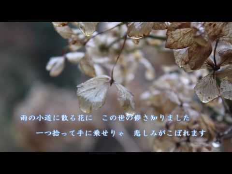 流恋草（はぐれそう）/  香西かおり　　　cover・aki