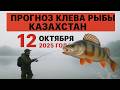 ПРОГНОЗ КЛЁВА в Казахстане на 12 октября 2025 года. Бросай все и на рыбалку!