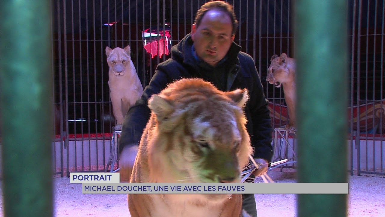 Portrait : Michaël Douchet, plus jeune dompteur de fauves en Europe