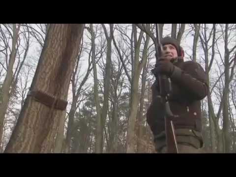 ნადირობა ტახზე