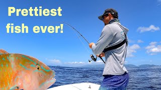 Each FISH was a DIFFERENT SPECIES!