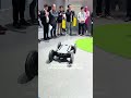 Take this robot with you on the course next time⛳️ #hyundai #robotics #ces2026