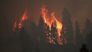 Court to hear evidence against father-son duo accused of starting Caldor Fire