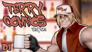 TERRY MOST DAMAGING DP PUNISH COMBOS - [STREET FIGHTER 6]