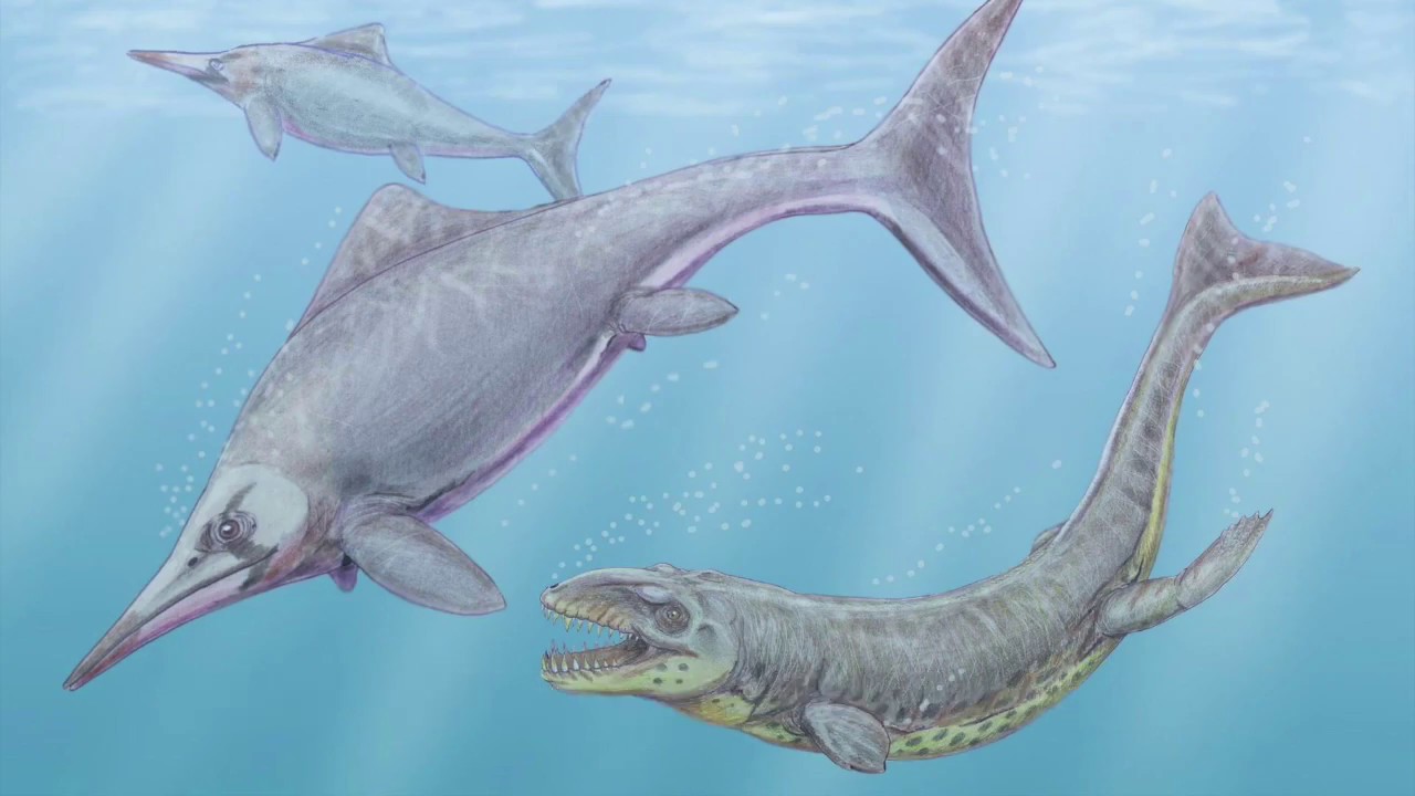 Paleo Log: Dakosaurus