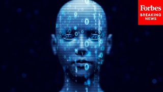 'We Don't Want To Cede This Space To China': Stephen Lynch Asks Witness About Using AI