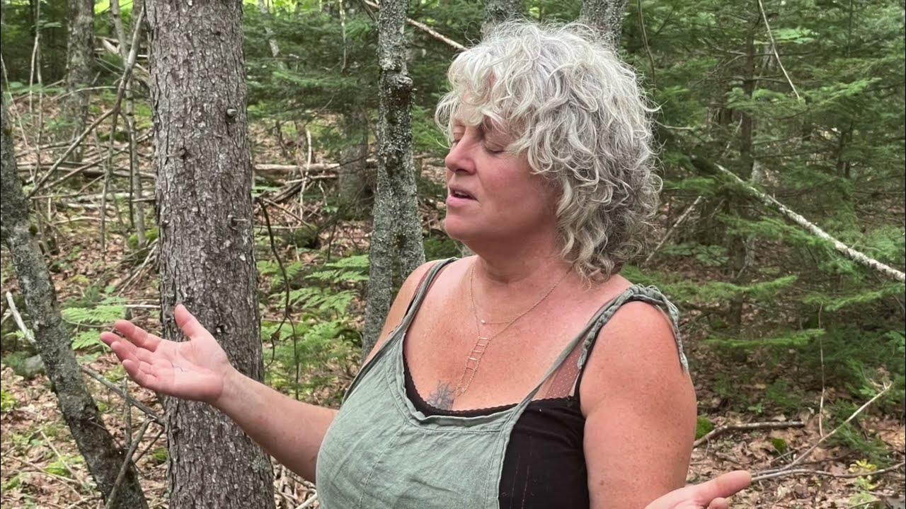 stand-tall-song-message-from-nova-scotia-oak-tree-youtube