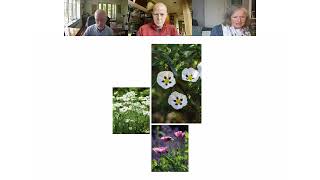 The Seasonal Gardener: A Conversation Across Gardens with Anna Pavord, Dan Hinkley, and Bill Thomas