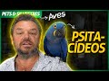 VANTAGENS E DESVANTAGENS EM TER UMA ARARA-AZUL EM CASA? | RICHARD RASMUSSEN