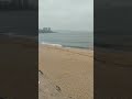 Sonido Olas Aves volando | Sound Waves Birds flying #shorts #naturesounds #naturevideo