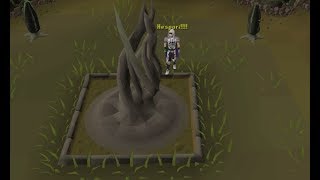 New Hespori Guide: Seeds, Boss Fight, Drops [OSRS]