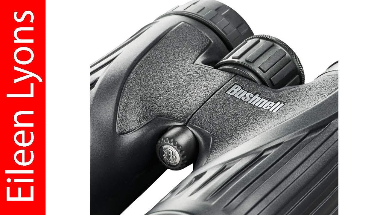 Best Elk Hunting Binoculars 2025 - Top 5