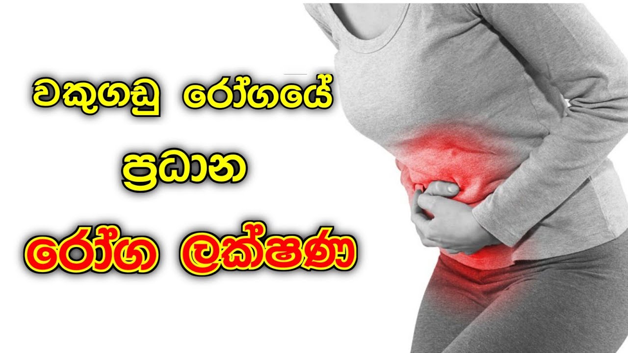 වකුගඩු රෝගයේ ප්‍රධාන රෝග ලක්ෂණ | Wakugadu roga lakshana | Kidneys Problems | Kidney Failure