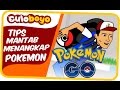 Culoboyo Tips Mantab Menangkap Pokemon Pokemon Go