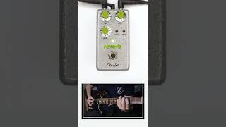 Fender - Hammertone Reverb