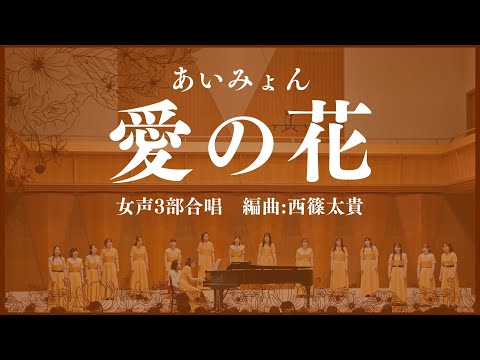 愛の花（あいみょん）NHK朝の連続テレビ小説「らんまん」