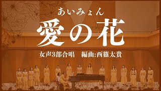 愛の花（あいみょん）NHK朝の連続テレビ小説「らんまん」