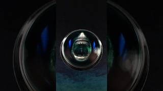 2024 2 oz Palau Phobias: Thalassophobia Colourized Proof Silver Coin