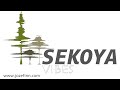 Sekoya vibes  odile odila de joo bosco