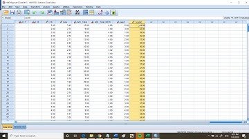 SPSS : เทคนิคการ Transform  Recode  และ Compute Variable