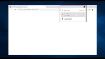 Chromium Tabs Using C# Windows Form(.Net Framework)
