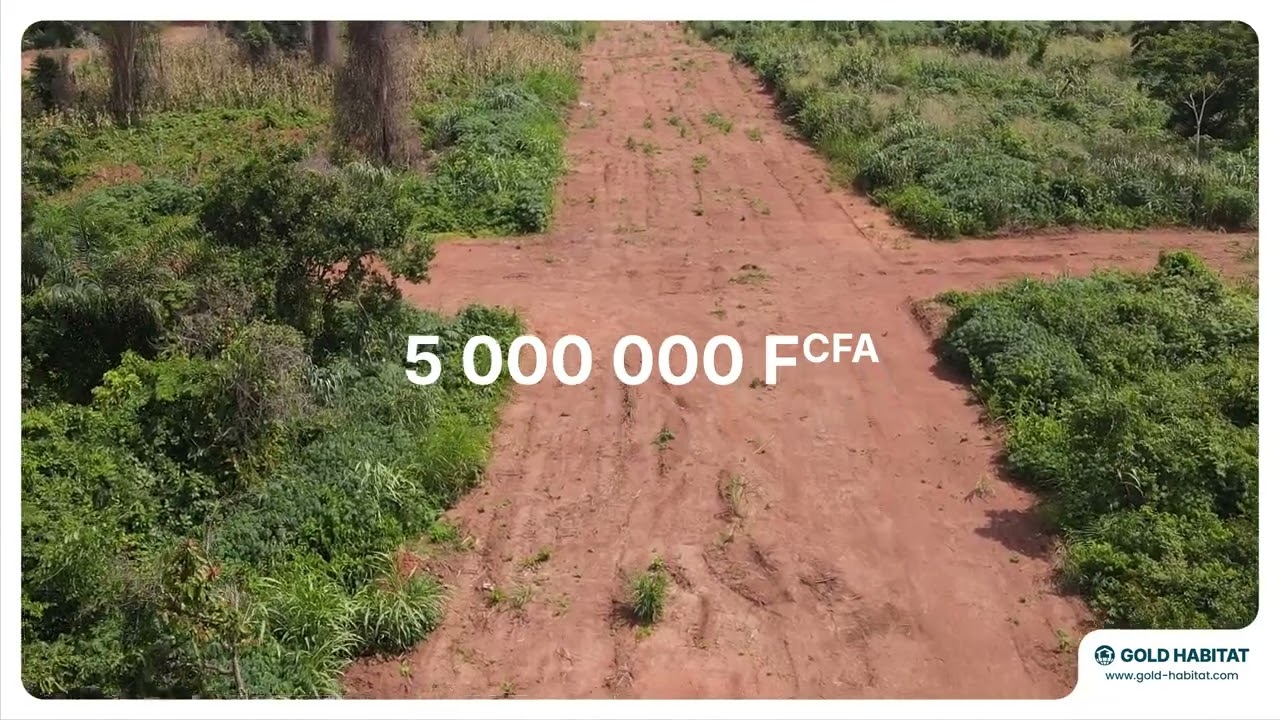 Gestoci City - Yamoussoukro - Gold Habitat