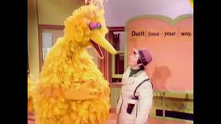 Big Bird Loses His Way - The Electric Companysesame Street