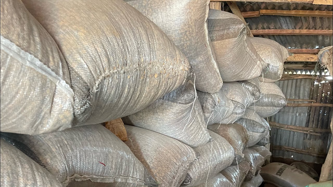 Small Rice Milling Factory In Nigeria.