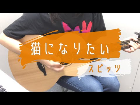 猫になりたい/スピッツ　ギター弾き語り　歌詞コード付き　女性キー+2