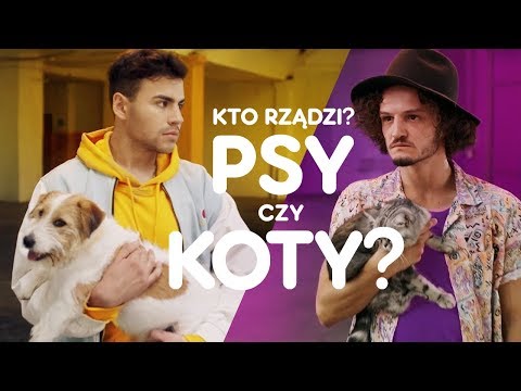 Wideo: Psy I Koty – Najlepsze Sposoby Na Ich Wprowadzenie