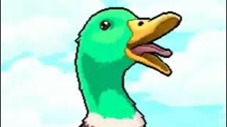 Duck quack Sound Effect Meme | No Copyright Download |Meme City