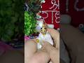 Laddu Gopal Ji ko Rat me malish+dudh pilana or shayan karana/yashoda ka nand lala #Laddugopal #viral