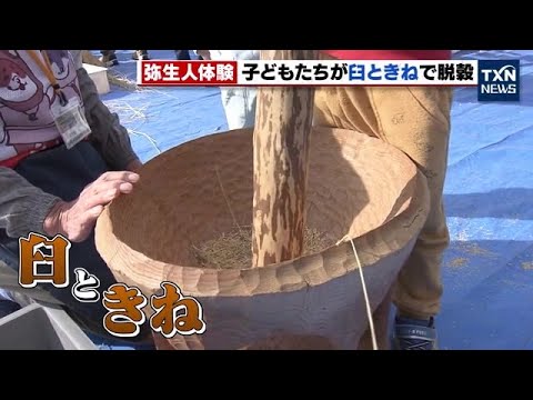 木 古道具 古民家 うさぎ杵？ 杵 脱穀 砧？ 棍棒