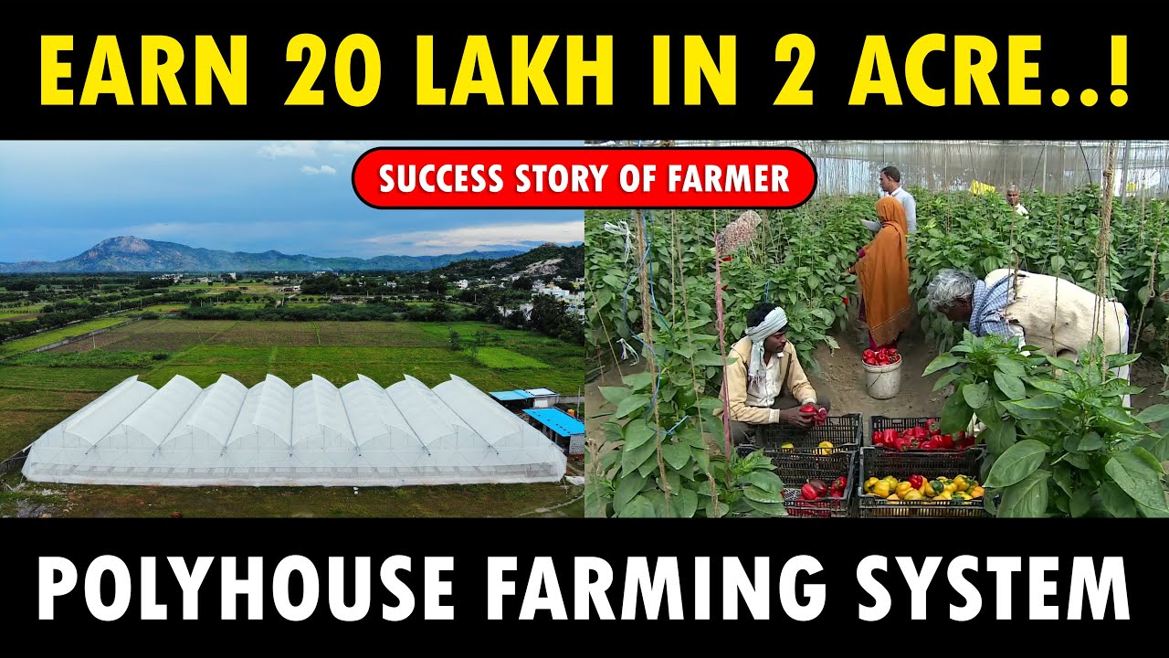 Polyhouse Farming / Greenhouse Farming | Protected Cultivation | Modern Agriculture Technology