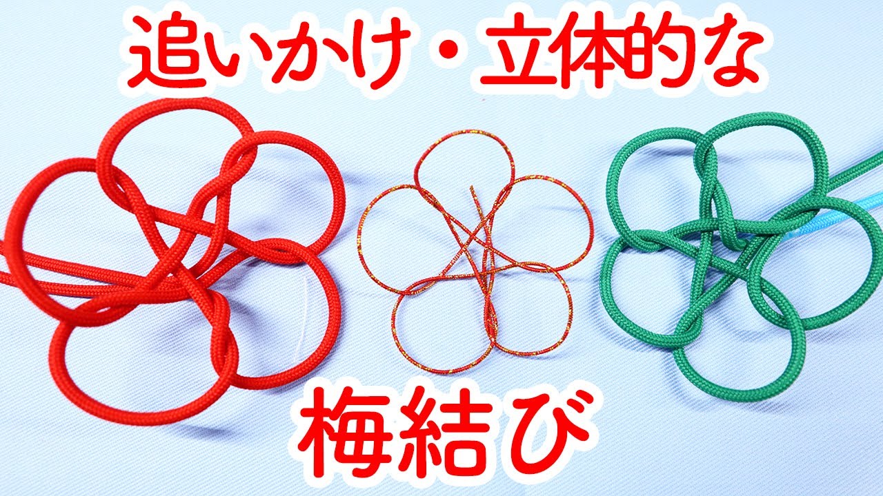 水引 梅結び 立体的な結び方 贈り物に飾ると可愛いらしい！少し立体的