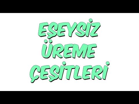 8dk'da EŞEYSİZ ÜREME ÇEŞİTLERİ - 10.Sınıf