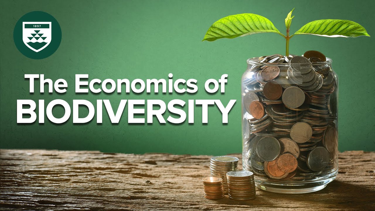 write an essay listing economic importance of biodiversity