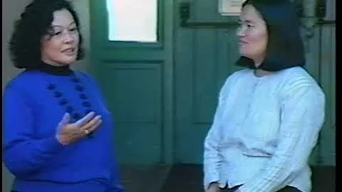 Reflections on Native and Second Language Learning...