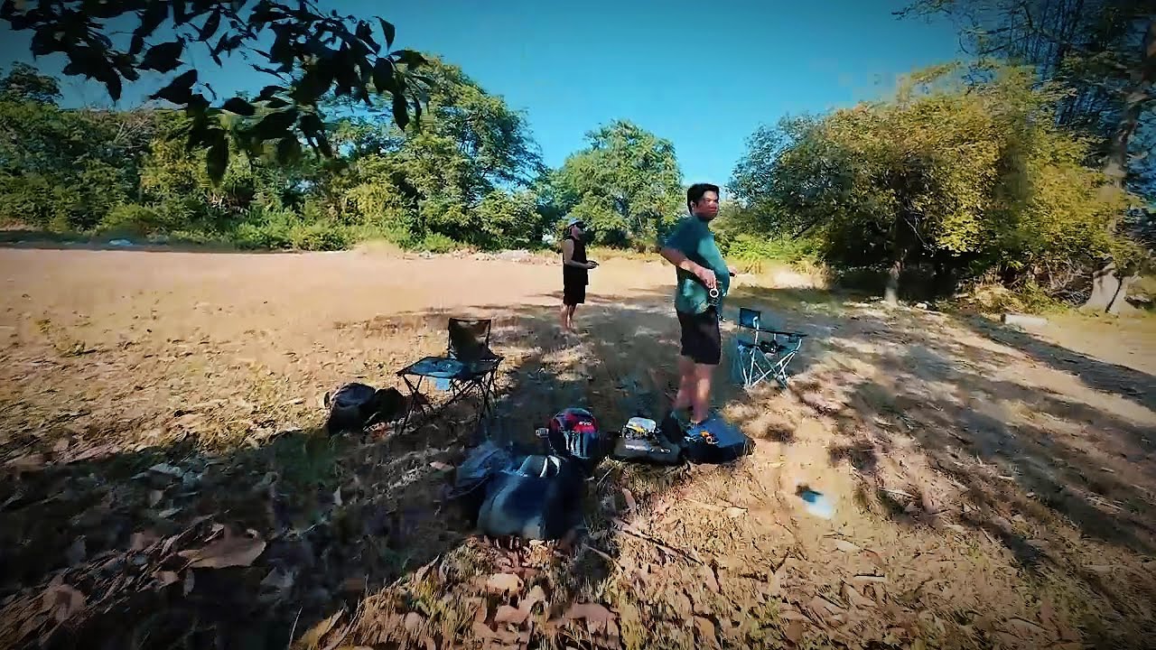 Chill Tree Freestyle & Slow Drone Chases – Pavo 20 Pro